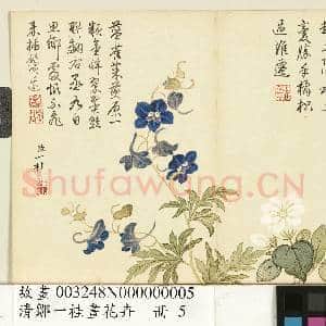 清邹一桂画花卉 册 翠雀|1幅|9.2 MB|高清下载