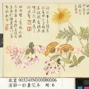 清邹一桂画花卉 册 蓬蒿金盏|1幅|9.67 MB|高清下载