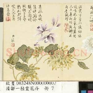 清邹一桂画花卉 册 紫兰夜来香缠枝菊|1幅|9.19 MB|高清下载