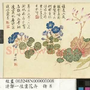 清邹一桂画花卉 册 望江南虎耳草翠梅|1幅|9.71 MB|高清下载
