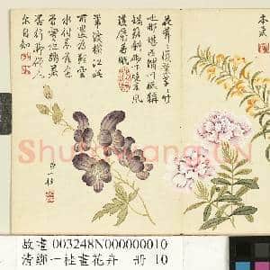 清邹一桂画花卉 册 水木樨石竹僧鞋菊|1幅|9.42 MB|高清下载