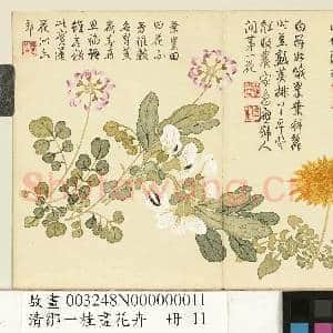 清邹一桂画花卉 册 蒲公英荷花郎|1幅|9.67 MB|高清下载