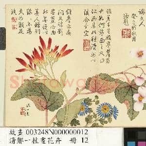 清邹一桂画花卉 册 美人蕉秋海棠|1幅|9.9 MB|高清下载