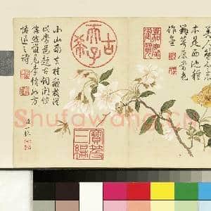 清邹一桂画花卉 册 李花金丝桃|1幅|7.84 MB|高清下载