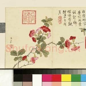 清邹一桂画花卉 册 海棠|1幅|7.63 MB|高清下载