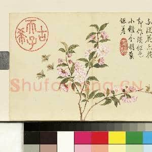 清邹一桂画花卉 册 郁李|1幅|7.53 MB|高清下载