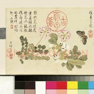 清邹一桂画花卉 册 紫花地丁|1幅|7.75 MB|高清下载