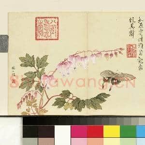 清邹一桂画花卉 册 鱼儿牡丹|1幅|7.54 MB|高清下载