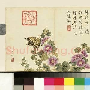 清邹一桂画花卉 册 锦葵|1幅|7.76 MB|高清下载