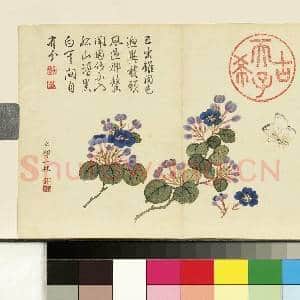 清邹一桂画花卉 册 翠梅|1幅|7.5 MB|高清下载