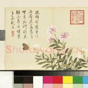 清邹一桂画花卉 册 剪秋罗|1幅|7.51 MB|高清下载
