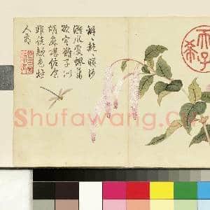 清邹一桂画花卉 册 红蓼|1幅|7.55 MB|高清下载