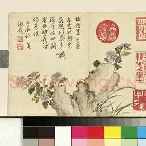 清邹一桂画花卉 册 蓝菊|1幅|8.07 MB|高清下载