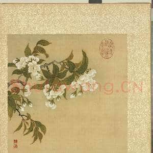 清邹一桂花卉画册 册 李花|2幅|22.76 MB|高清下载
