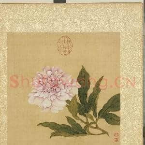 清邹一桂花卉画册 册 芍药|2幅|22.76 MB|高清下载