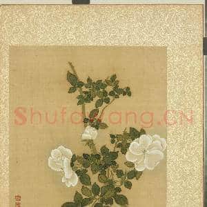 清邹一桂花卉画册 册 白蔷薇|2幅|23.03 MB|高清下载