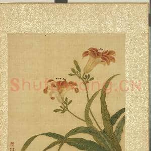 清邹一桂花卉画册 册 宜男花|2幅|22.62 MB|高清下载