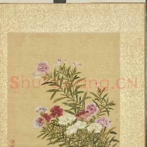 清邹一桂花卉画册 册 石竹|2幅|22.88 MB|高清下载