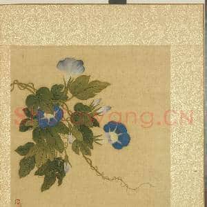 清邹一桂花卉画册 册 牵牛花|2幅|23 MB|高清下载