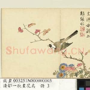 清邹一桂画花鸟 册 枫树白头翁|1幅|8.31 MB|高清下载