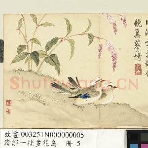 清邹一桂画花鸟 册 红蓼鹡鸰|1幅|8.92 MB|高清下载