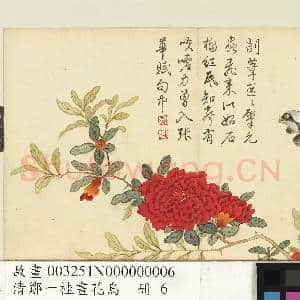 清邹一桂画花鸟 册 石榴翎毛|1幅|8.98 MB|高清下载