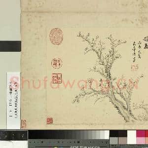 清张鹏翀山水册 册 古干繁花|2幅|18.38 MB|高清下载