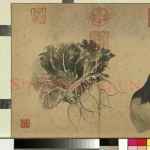 清张若霭写生花果 册 萝卜与茄|1幅|10.23 MB|高清下载