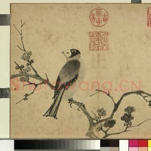 清张若霭写生花果 册 梅花蜡嘴|1幅|9.74 MB|高清下载
