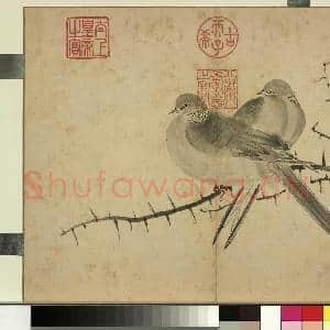 清张若霭写生花果 册 棘针白鸽|1幅|9.88 MB|高清下载