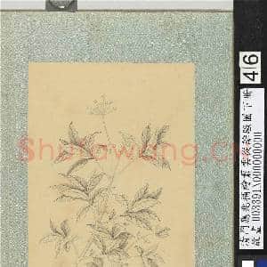 清门应兆补绘萧云从离骚图下册.册.白芷故画|2幅|26.71 MB|高清下载