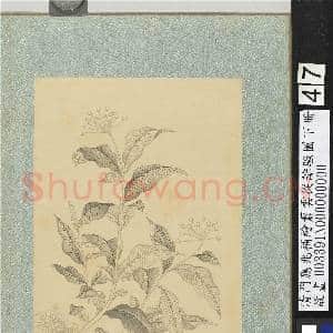 清门应兆补绘萧云从离骚图下册.册.秋兰故画|2幅|26.92 MB|高清下载