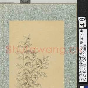 清门应兆补绘萧云从离骚图下册.册.零陵香故画|2幅|26.62 MB|高清下载