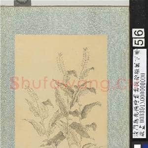 清门应兆补绘萧云从离骚图下册.册.杜若故画|2幅|26.62 MB|高清下载