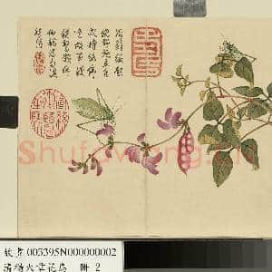 清杨大章花鸟.册.豆花络纬故画|1幅|10.19 MB|高清下载