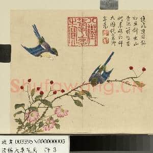 清杨大章花鸟.册.山樝相思鸟故画|1幅|10.21 MB|高清下载