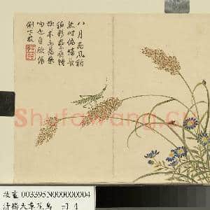 清杨大章花鸟.册.稻穗螳螂故画|1幅|9.77 MB|高清下载