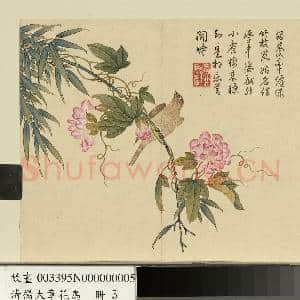 清杨大章花鸟.册.缠枝牡丹黄雀故画|1幅|10.19 MB|高清下载