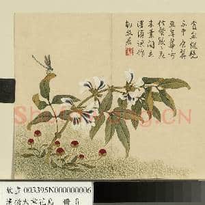 清杨大章花鸟.册.豆花蜻蜓故画|1幅|10.54 MB|高清下载