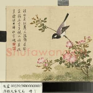 清杨大章花鸟.册.蔷薇子规故画|1幅|10.62 MB|高清下载