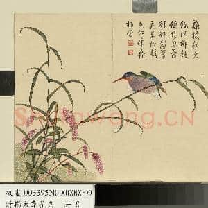 清杨大章花鸟.册.蓼花翠鸟故画|1幅|10.1 MB|高清下载