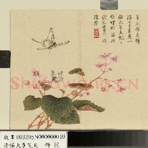 清杨大章花鸟.册.秋海棠蝴蝶故画|1幅|9.7 MB|高清下载