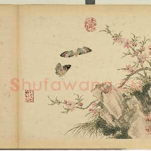 清杨大章仿刁光胤写生.册.桃花双蝶故画|2幅|17.39 MB|高清下载
