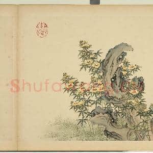 清杨大章仿刁光胤写生.册.秋葵奇石故画|1幅|9.99 MB|高清下载