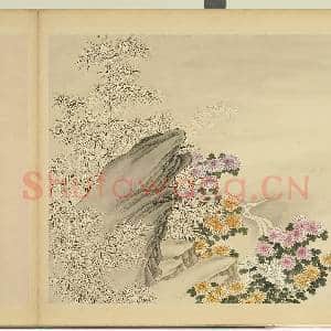 清杨大章仿刁光胤写生.册.竹菊泉石故画|1幅|10.39 MB|高清下载