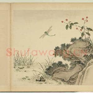 清杨大章仿刁光胤写生.册.秋塘蜻蜓故画|1幅|9.86 MB|高清下载
