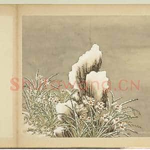清杨大章仿刁光胤写生.册.水仙倚石故画|1幅|10.13 MB|高清下载