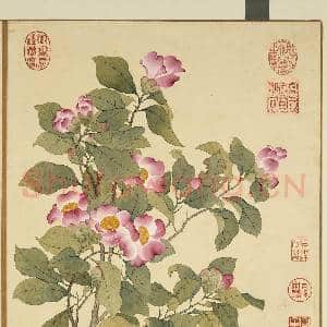 清李秉德临张伟花果鱼鸟.册.山茶故画|2幅|19.36 MB|高清下载