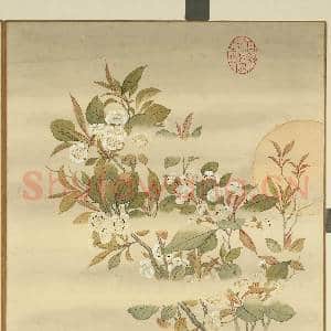 清李秉德临张伟花果鱼鸟.册.月下梨花故画|1幅|9.83 MB|高清下载