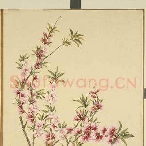 清李秉德临张伟花果鱼鸟.册.桃花故画|1幅|9.53 MB|高清下载